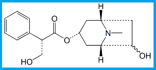 HYOSCYAMINE EP IMPURITY C / 6-HYDROXYHYOSCYAMINE